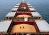 发布上周对中国大陆装运83018吨大豆：出口检验量大幅增至23.81%