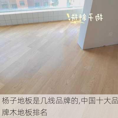 杨子地板是几线品牌的,中国十大品牌木地板排名
