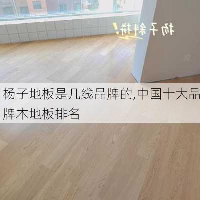 杨子地板是几线品牌的,中国十大品牌木地板排名
