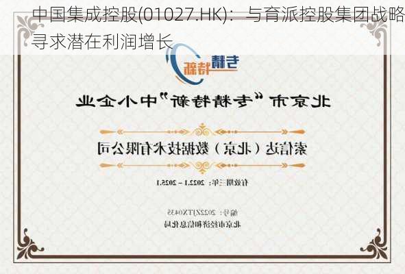 中国集成控股(01027.HK)：与育派控股集团战略寻求潜在利润增长