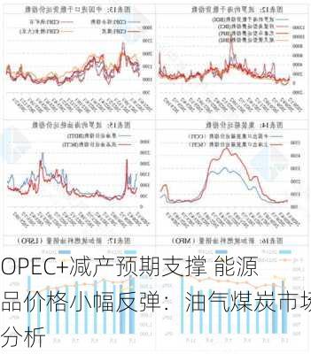 OPEC+减产预期支撑 能源品价格小幅反弹：油气煤炭市场分析